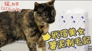 [貓の執事 CatButler]客人上門中，薯泥剃毛記！