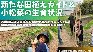 新たな田植えガイド＆小松菜の生育状況【里山再生・土壌改善・里山体験受付中・田植え準備・田植えの道具・小松菜・自然栽培・ハル農法】