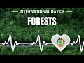 UN International Day of Forests- Dr. Dinesh Sabnis, Addl. Representative to UNOG for WFDP