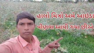 હાલો મિત્રો અમે આઇડા વીણવા આવી ગયા છીએ 😆😆