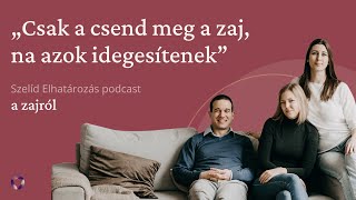 A zaj sokszínűsége - Szelíd Elhatározás podcast