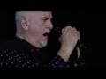 Peter Gabriel - The Family And The Fishing Net Live (Back to Front Tour - London)