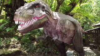 【沖縄観光】DINO恐竜PARK やんばる亜熱帯の森 - Okinawa Japan