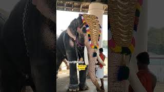 🐘എൻ്റെ കൂട്ടിനു വരുന്നത് ആരാണാവോ? കുറെ നേരം നിൽകുമ്പോൾ കമ്പനി നല്ല ആള് വേണം. ഇല്ലെങ്കിൽ ശെരിയാവില്ല.