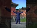 武当太极 shorts kungfu