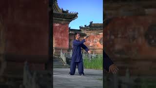 武当太极#shorts #kungfu