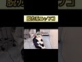 脱力系たぷたぷにゃんこ【病院猫れいちゃん】 shorts