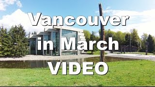 Sights and Sounds of Vancouver in March Final YouTube