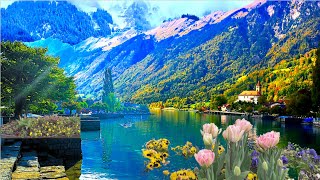 4K Switzerland lake Brienz 碧绿的水中 透着浅浅的乳白色如翡翠又如白玉  如梦如幻 如此迷人的湖光山色，即便是“天子”来呼，又怎能登船而去？