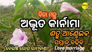 ବିନା ମନ୍ତ୍ରରେ ମାଟିତଳୁ | ପୋତା ଧନ | ଶତ୍ରୁ ଆଣ୍ଠେଇବ | ଛଅଟି ସମସ୍ୟା ସମାଧାନ Motivational video