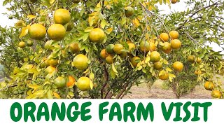 Orange Farming | Farm Visit and Village Stay in Nagpur