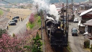 大井川鉄道　SL　桜　2014　第１章　2014.3.29