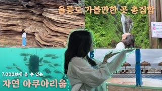 바다 안으로 들어가는 자연아쿠아리움?!|울릉도 가볼만한 곳,울릉도 코스추천,천부해중전망대,버섯바위,남양해수풀장,울릉도 놀거리,봉래폭포|울릉도 여행,여행브이로그,저동항,도동,독도반점