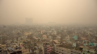 New Delhi enveloped by toxic smog as air pollution reaches 'unbearable levels'