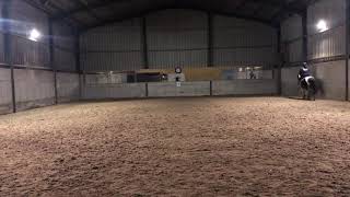 Interdressage Class 1B walk and trot M Jenny Perkins \u0026 Beneath the Colour