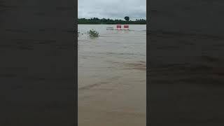 Wardha River Overflow | Patala | Chandrapur | Marda