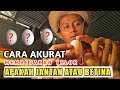 Cara Akurat, Membedakan Telur Jantan Atau Betina.