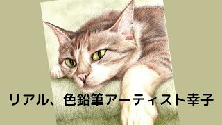 リアル,色鉛筆画【本物そっくりに猫を描きました♬】準備も片付けも簡単で手軽な色鉛筆でここまでリアルに描けちゃう♪