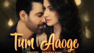 Tum Aaoge | Soham Naik | Aamir Ali | Sanjeeda | New Hindi Song | Golden series