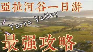 Melbourne Yarra valley｜亚拉河谷一日游 最强攻略