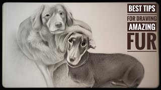 Learn how to draw realistic fur | Secret tips for drawing light hair