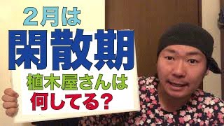 植木屋さんの【２月】の仕事事情を解説いたします。