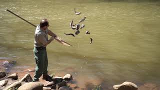 WVDNR prepares for fall trout stocking