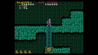 Ghosts 'n Goblins [MAME] - Points 665.800