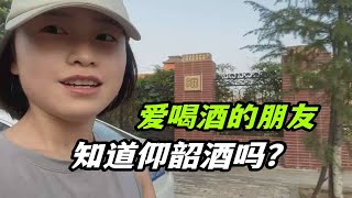 我的河南渑池老家，仰韶酒 ，有多少人喝过？