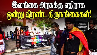 இலங்கை அரசுக்கு எதிராக  கொழும்பில் ஒன்று திரண்ட திருநங்கைகள்! | Sri Lanka Tamil News