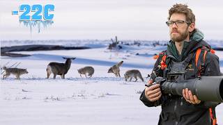 Surviving Yellowstone’s Brutal Winter – Wildlife Photography at -22C