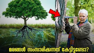 മരങ്ങൾ സംസാരിക്കുന്നത് നിങ്ങൾ കേട്ടിട്ടുണ്ടോ ? || SECRET LANGUAGE OF TREES || Untoldtale