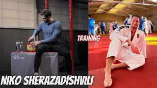 Niko Sherazadishvili (ESP) - TRAINING \u0026 RONDORI - Highlights - 柔道 2023