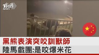 陸馬戲團亂象 黑熊撲咬訓獸師 花錢讓小孩騎老虎｜TVBS新聞 @internationalNewsplus