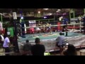 Jose mega soto vs zendejas