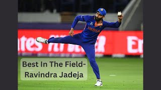 Jadeja Best Fielding | Top 10 Jadeja Fielding | CricketTV