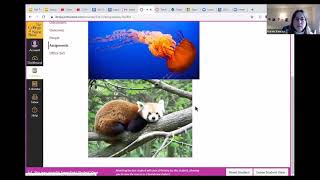 How to upload files to Canvas Assignments and Pages