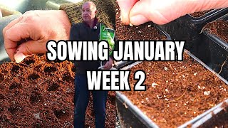 January Week 2: Discover What I'm Sowing in My No Dig Norfolk Garden!