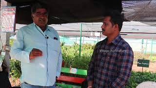 Fruits Plants Nursery Founder G krishnareddy Special Interview In Telugu 2020 | #jadcherla