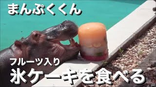 カバのまんぷくくん、フルーツの入った氷をプレゼントされる　2024.08.10