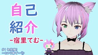 【自己紹介】宿里てむです。はじめまして！【新人Vtuber】