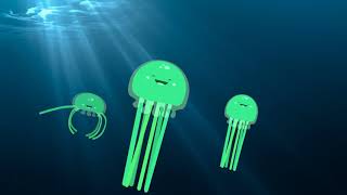 Adobe Animate Modern Rigging