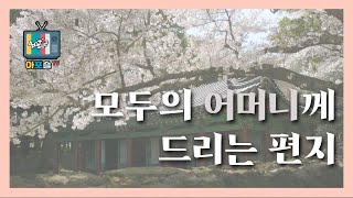 모두의 어머니께 드리는 편지 #아포슬_TV