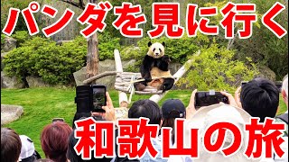 Watching the Pandas Returning to China! | Adventure World in Wakayama, Japan