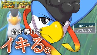 合計種族値417。だけど唯一無二の”イキり”性能を持つ鳥「イキリンコ」【ポケモンSV】