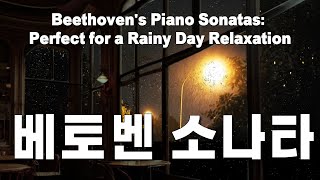 베토벤 피아노 소나타로 감성 충전 Beethoven's Piano Sonatas: Perfect for a Rainy Day Relaxation #베토벤 #베토벤소나타