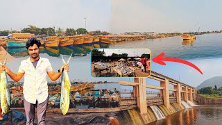 Vizag fishing harbour | meghadri gedda dam | వైజాగ్ ఫిషింగ్ హార్బర్ | మేఘాద్రి గెడ్డ డ్యామ్ KbroVlog