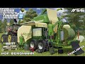 Baling GRASS SILAGE with KRONE ULTIMA CF 155 XC | Hof Bergmann | Farming Simulator 22 | Episode 56