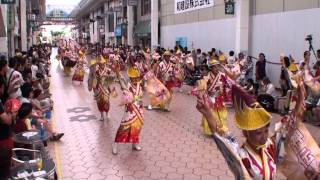 礼神伝SHALL稲毛　～2014高知よさこい祭り・全国大会(帯屋町筋会場)