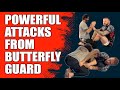 Submit, Sweep & Take the Back from Butterfly Guard | Jiu-Jitsu Attack Options